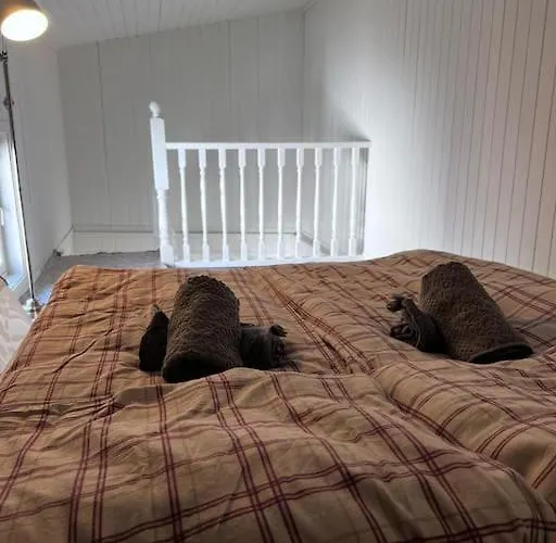 The Yellow Door 스타방에르