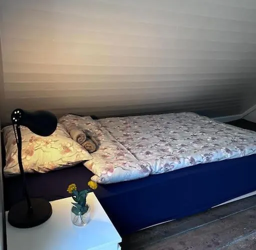 The Yellow Door 스타방에르